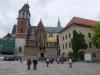 Kliknij by wejść jura2011_237_t1.jpg
