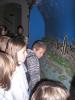 Kliknij by wejść festiwal_nauki2011_012_t1.jpg