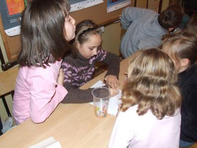 konk_liter_020.jpg