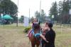 Kliknij by wejść foto150_t1_1.jpg