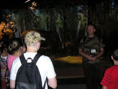 Bialowieza_009.jpg