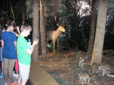 Bialowieza_010.jpg