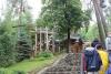 bialowieza_028_t1.jpg