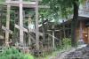 bialowieza_029_t1.jpg