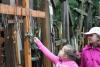 bialowieza_033_t1.jpg