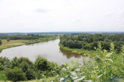 Bialowieza_045.jpg