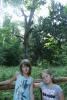 Kliknij by wejść bialowieza_093_t1.jpg