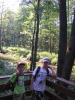 Kliknij by wejść bialowieza_095_t1.jpg