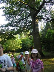 Bialowieza_096.jpg
