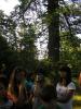 Kliknij by wejść bialowieza_097_t1.jpg