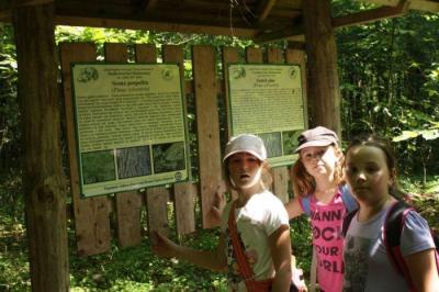 Bialowieza_105.jpg