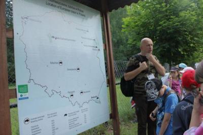 Bialowieza_111.jpg