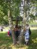 Kliknij by wejść bialowieza_113_t1.jpg
