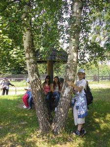 Bialowieza_113.jpg