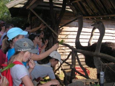 Bialowieza_136.jpg