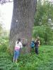 Kliknij by wejść wycieczka_2010_003_t1.jpg