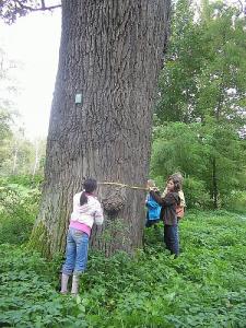 wycieczka_2010_003.jpg
