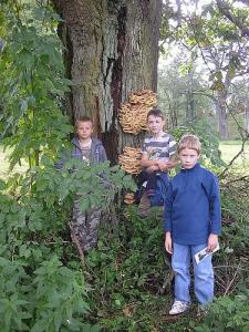 wycieczka_2010_007.jpg