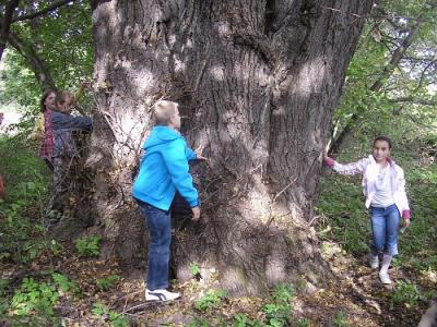 wycieczka_2010_011.jpg