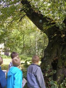 wycieczka_2010_015.jpg