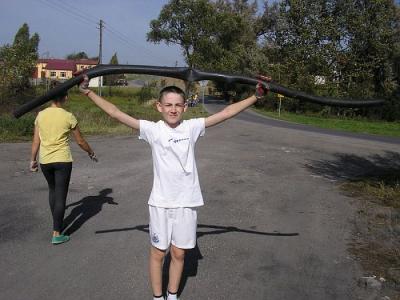 sp_sw2012_08.jpg