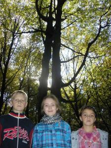 las_2012_05.jpg