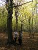 Kliknij by wejść las_2012_07_t1.jpg
