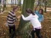 Kliknij by wejść las_2012_08_t1.jpg