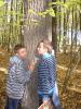 Kliknij by wejść las_2012_18_t1.jpg