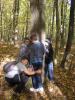 Kliknij by wejść las_2012_19_t1.jpg