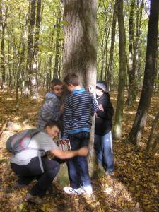 las_2012_19.jpg