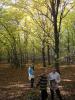 Kliknij by wejść las_2012_20_t1.jpg
