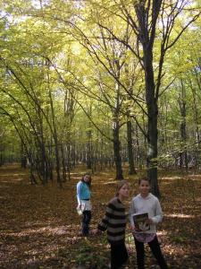 las_2012_20.jpg