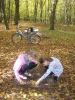 Kliknij by wejść las_2012_24_t1.jpg