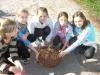 Wejdź las_2012.jpg