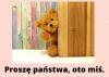 Wejdź mis.jpg